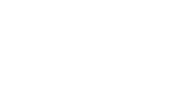 testimonial icon